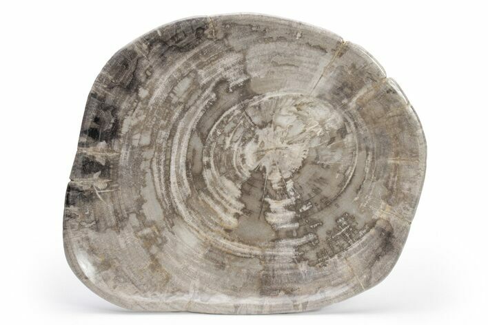 Tropical Hardwood Petrified Wood Dish - Indonesia #210604